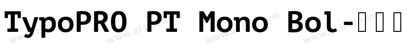 TypoPRO PT Mono Bol字体转换